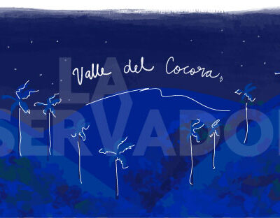 Valle Del Cocora Nocturno