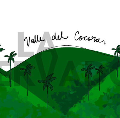 Valle Del Cocora Panorámica